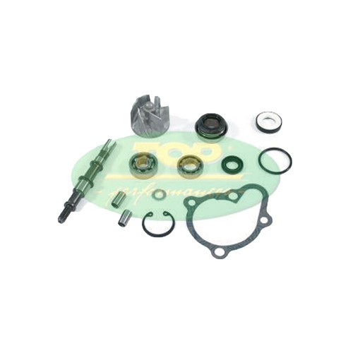Aa00816 kit revisione - kit, pompa