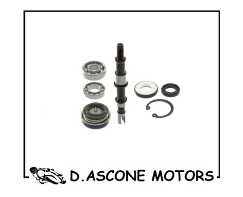 Kit revisione pompa acqua h2o - revisione,