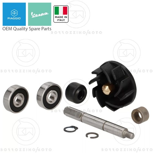 Kit revisione pompa acqua - revisione,