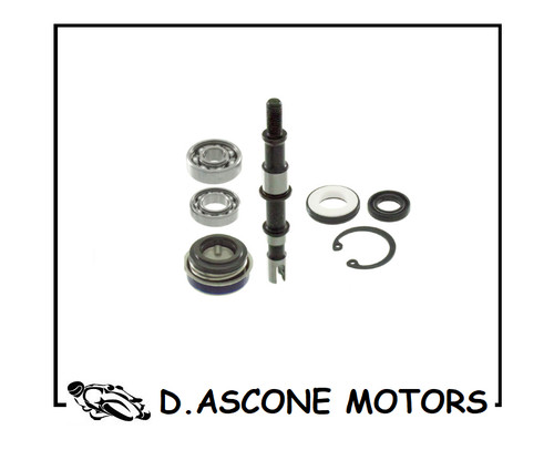 Kit revisione pompa acqua - kit,