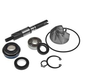 Aa00813 kit revisione - aa00813,